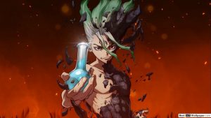 dr-stone-mavanimes