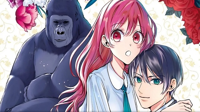 The-Gorilla-Gods-Go-To-Girl-mavanimes